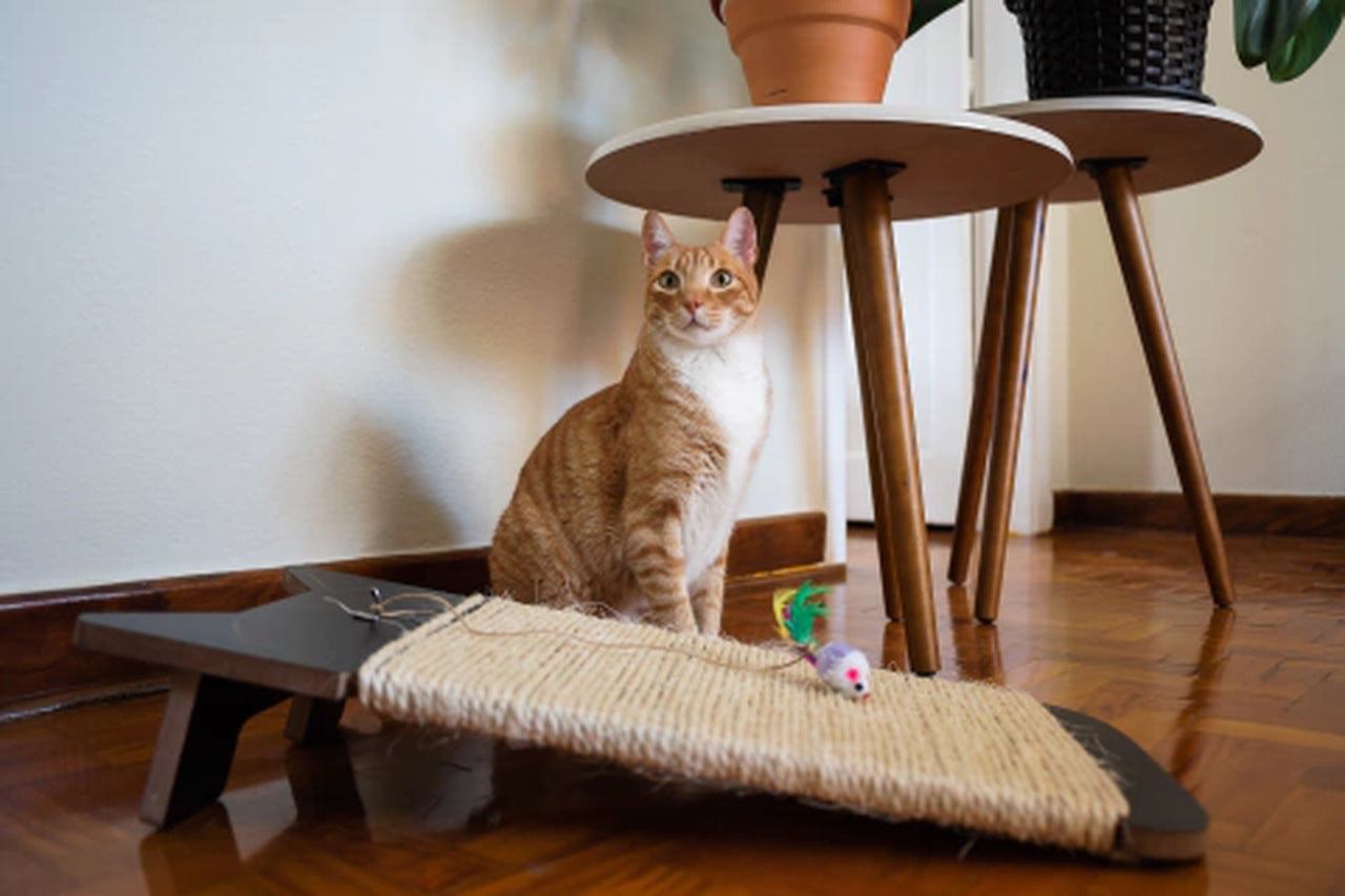 Arranhador de Chão Carpete Bastet para Gatos
