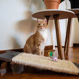 Arranhador de Chão Carpete Bastet para Gatos