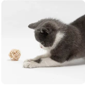 Brinquedo Duplo Bolinhas Sisal Rattan e Pena