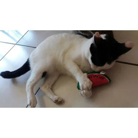 Brinquedo Melancia Green Rush com Catnip Importado