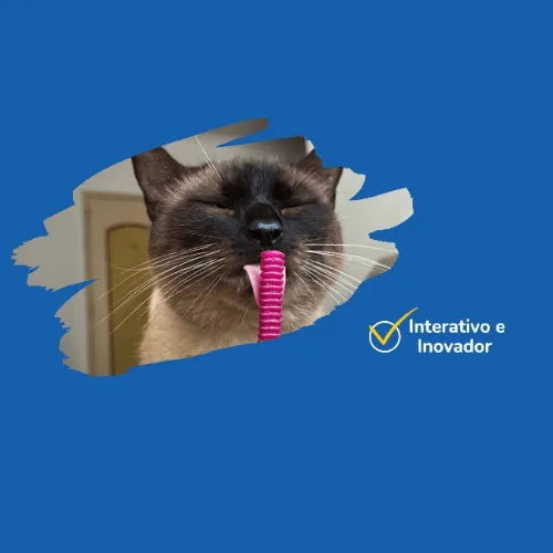 Brinquedo Para Morder Cat Chiclete Pet Games