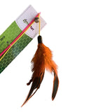 Brinquedo Varinha Chic com Elástico e Pena 30cm