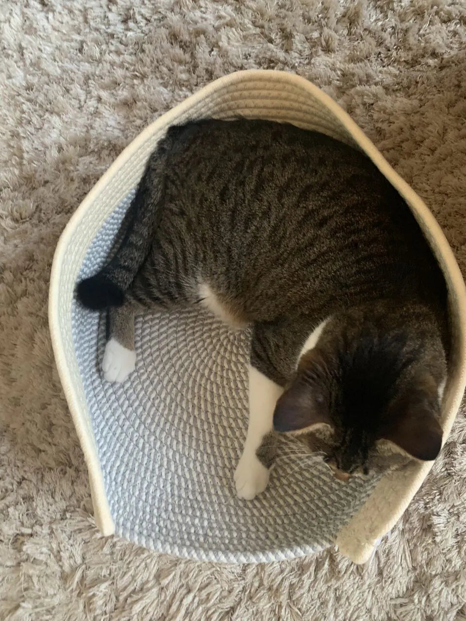 Cama Cesto Confortável Moderna 100% Algodão para Gatos