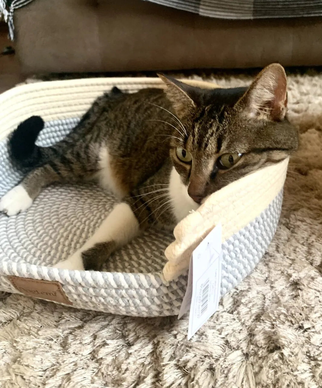 Cama Cesto Confortável Moderna 100% Algodão para Gatos