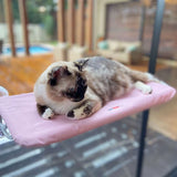 Cama Suspensa de Janela Petlon para Gatos