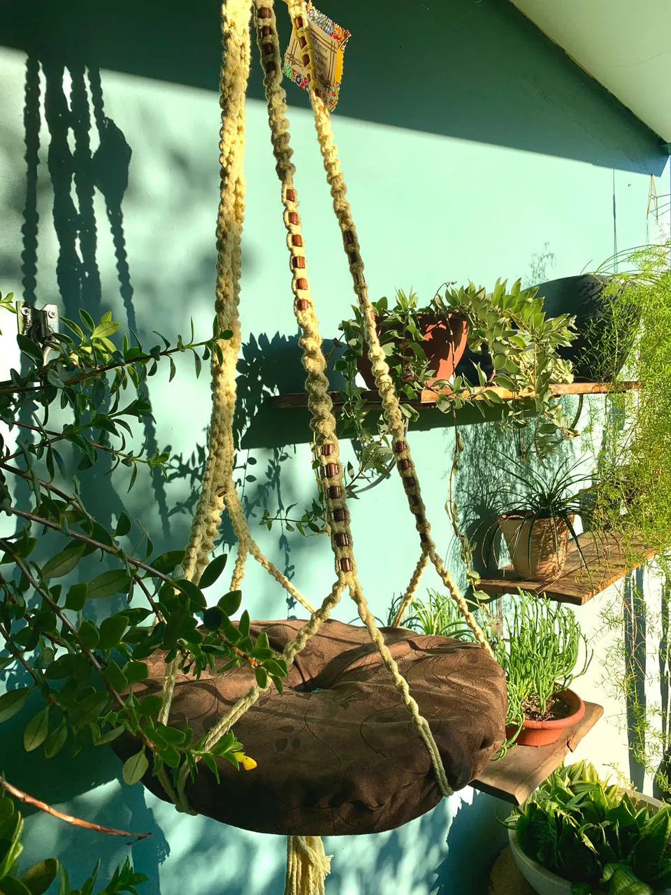 Cama Macramê Suspensa Sphynx - Artesanal