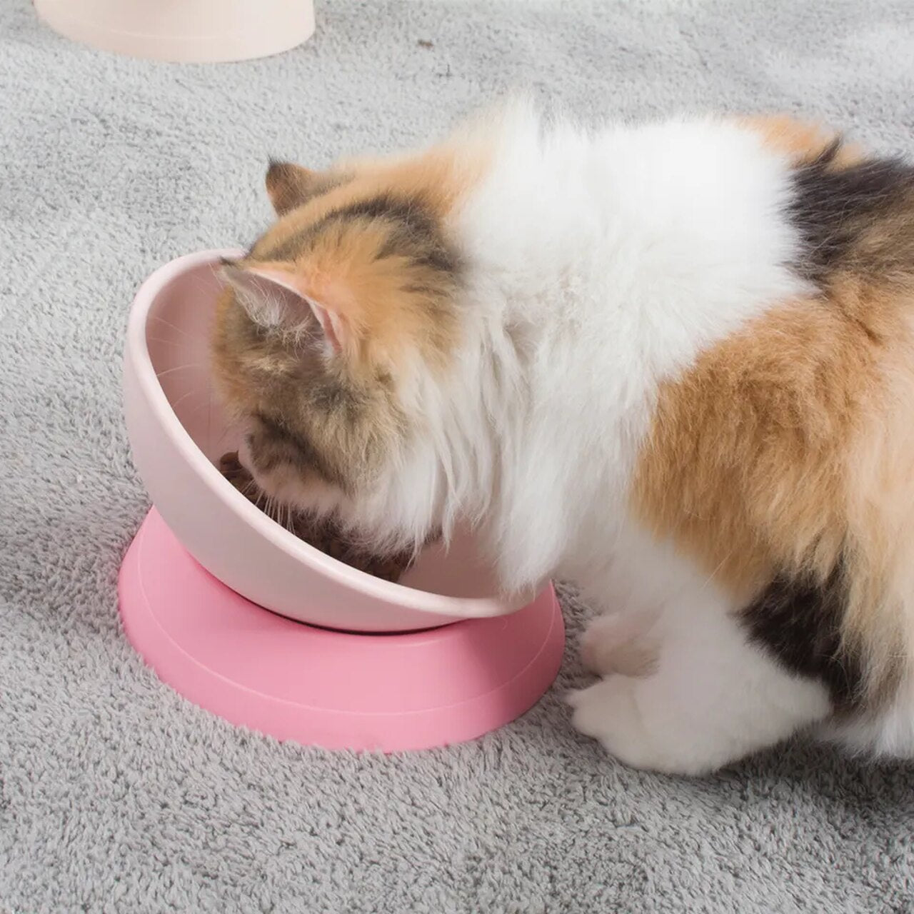 Comedouro de Silicone Regulável para Gatos