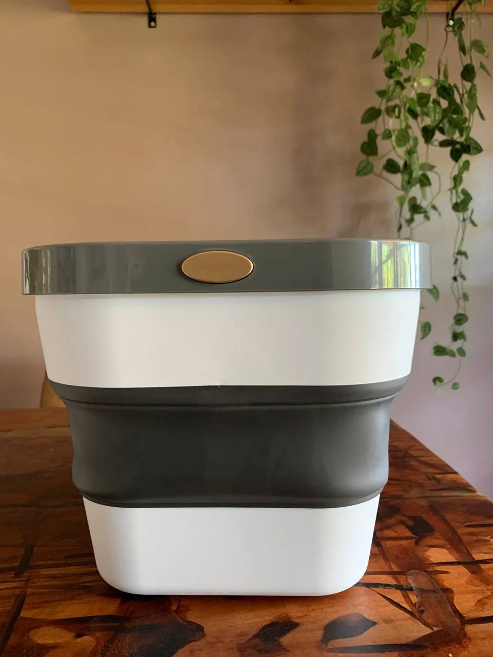Container/Recipiente Ajustável de Silicone com Botão para Armazenamento