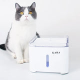 Fonte de Água Kara Quadrada 2L