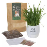 Vaso Autoirrigável de Graminhas para Gatos