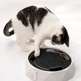 Pista Eletrônica Interativa com Ratinho 2 Velocidades