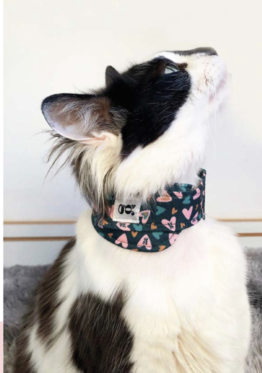 Suporte para Sonda Esofágia Gatos Aconchego