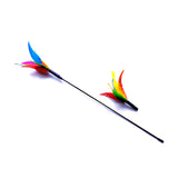 Brinquedo Cat Varinha Com Refil de Iscas