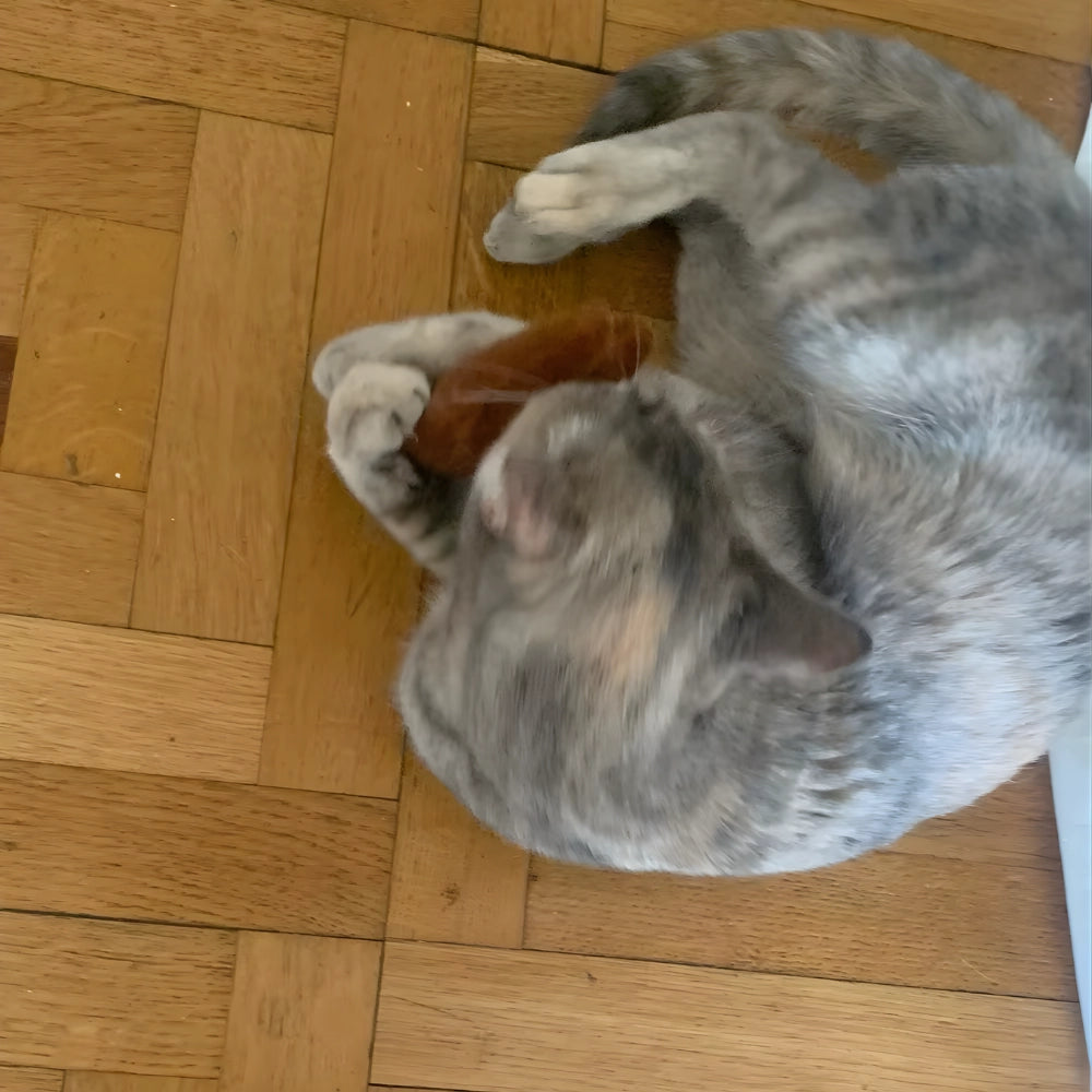 Brinquedo de Luta/Kicker Pelúcia Marrom com Catnip Super Premium