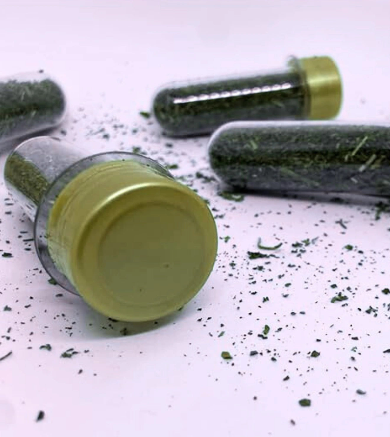 Catnip Super Premium Erva do Gato - 5g