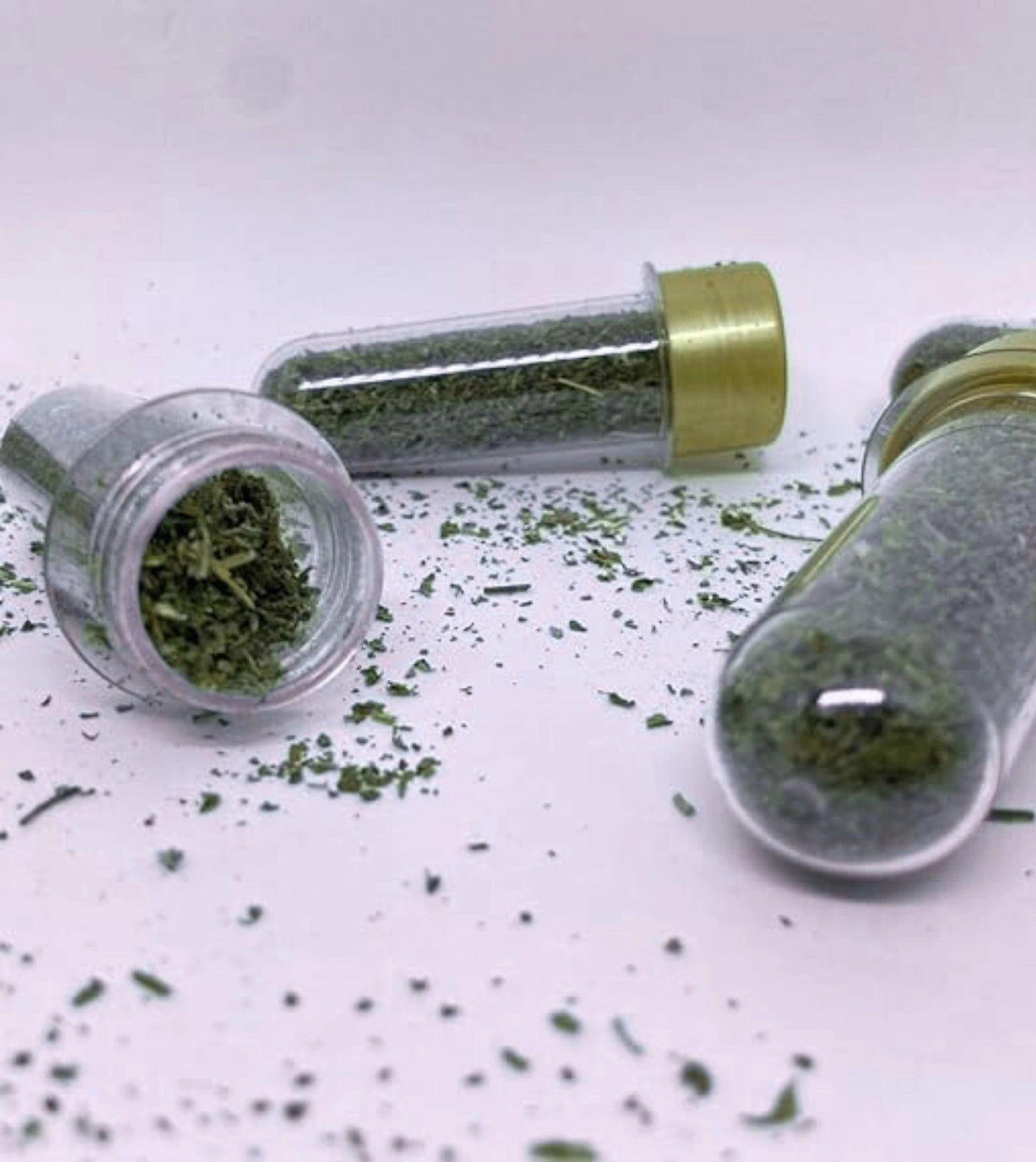 Catnip Super Premium Erva do Gato - 10g