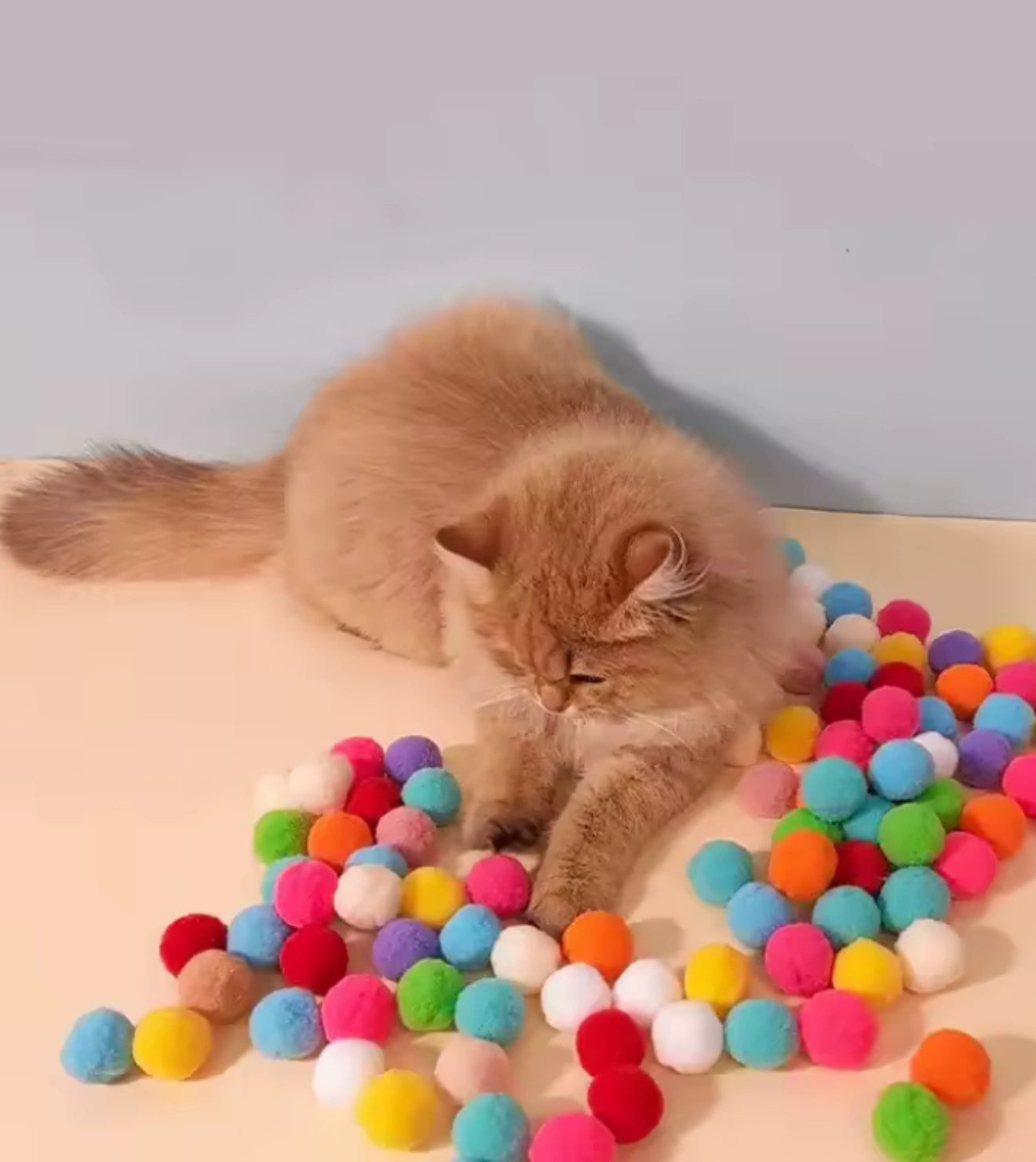 Brinquedo Arminha de Bolinhas para Gatos