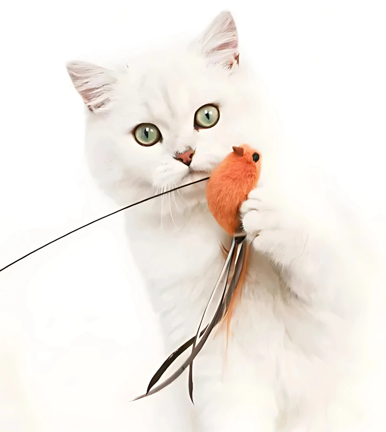 Brinquedo Isca Realista Pássaro Laranja para Varinhas