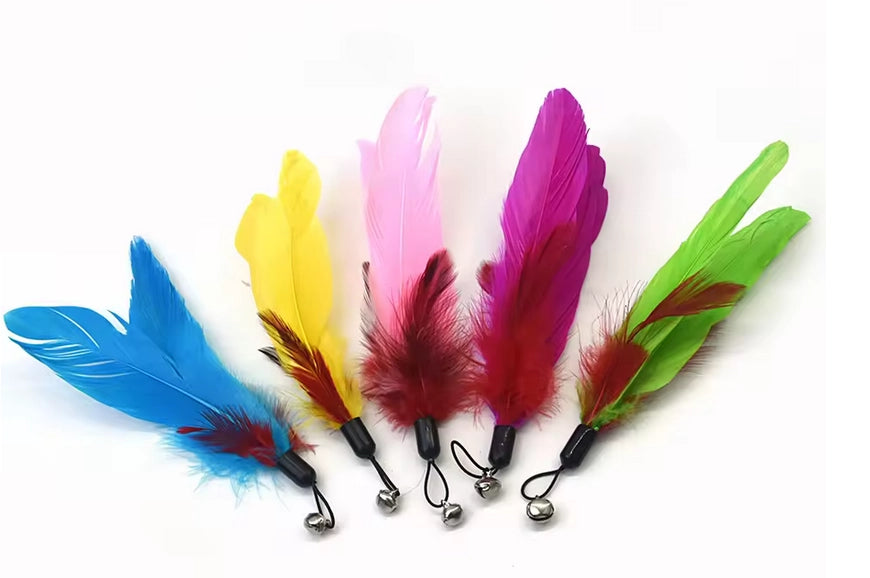 Brinquedo Isca Penas Coloridas - Sem Varinha