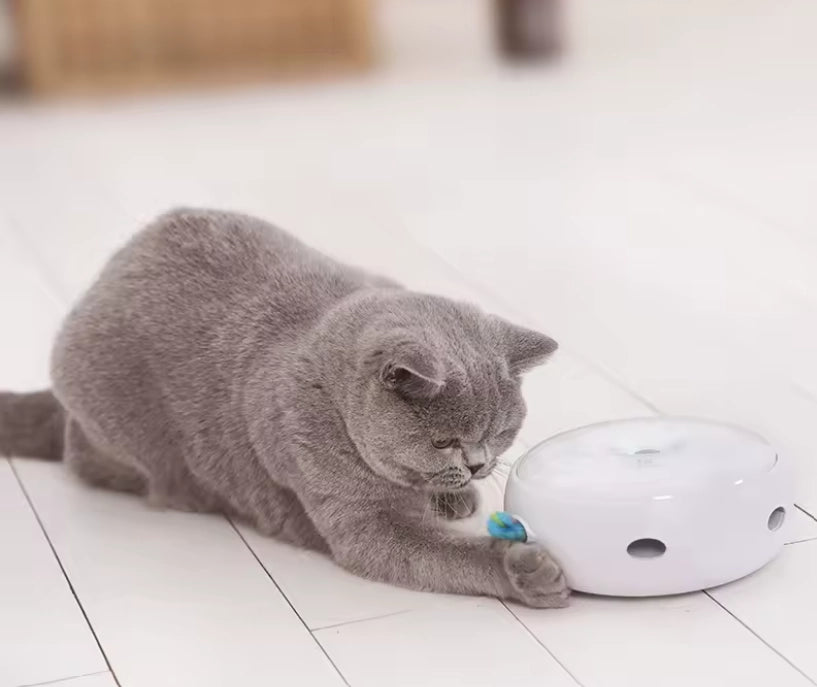 Brinquedo Eletrônico Interativo Crazy Donut