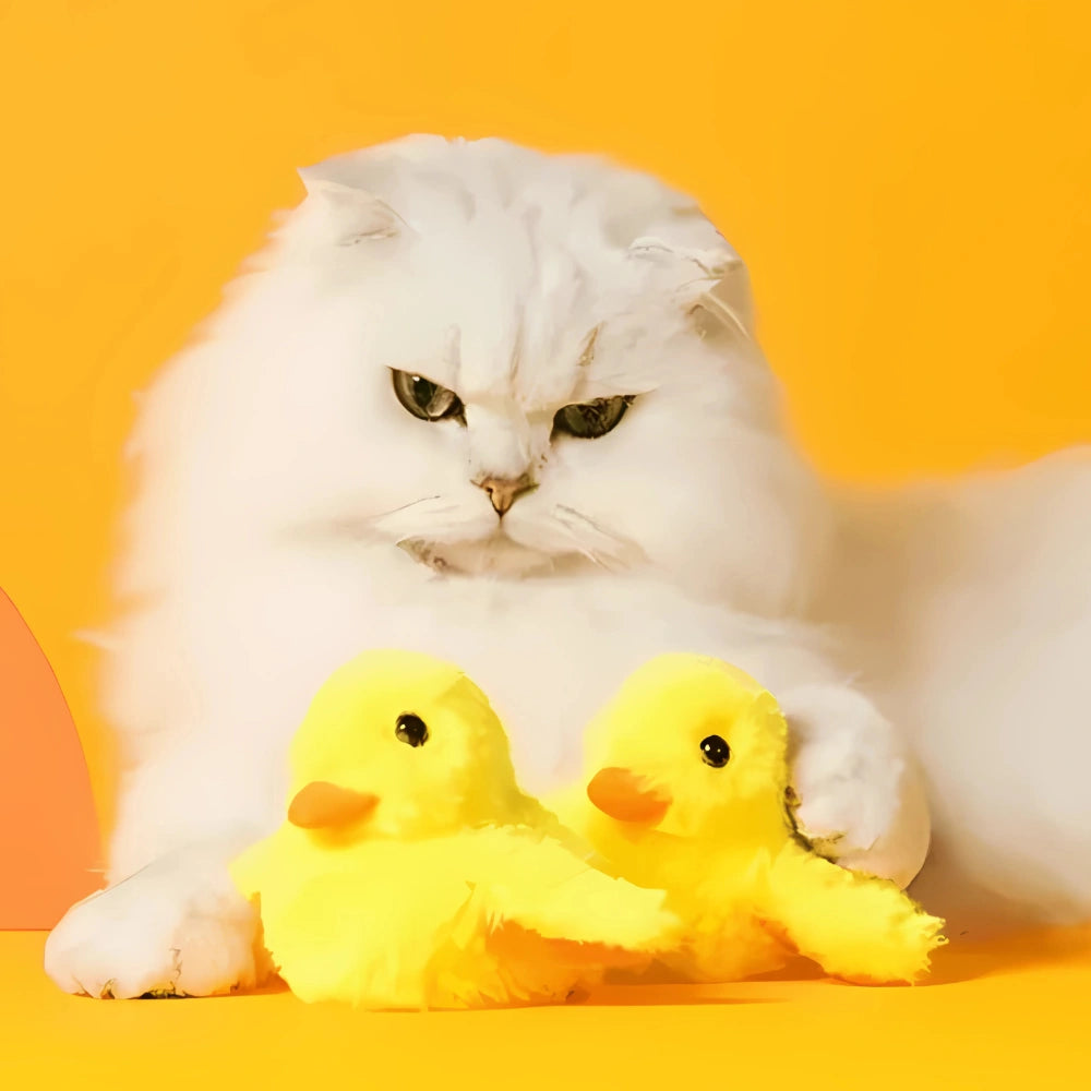 Brinquedo Eletrônico Pato Bate-Asas Interativo para Gatos