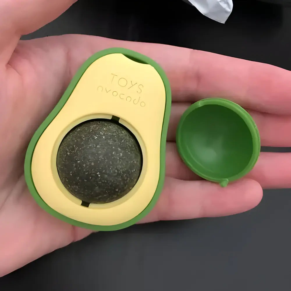 Abacate de Catnip - Avocat