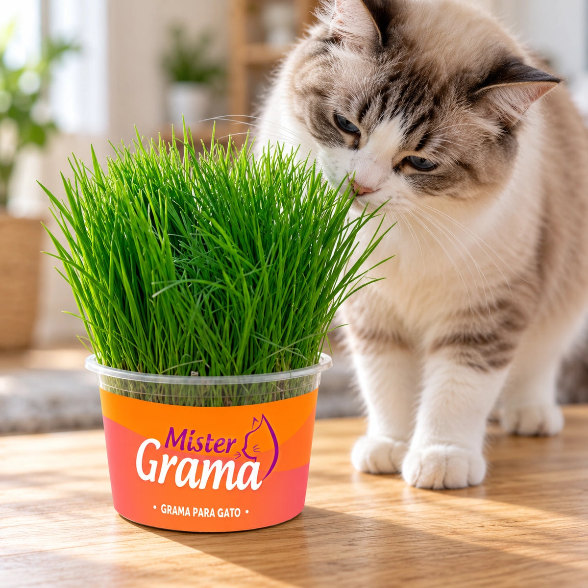 Graminha para Gatos Mister 130g