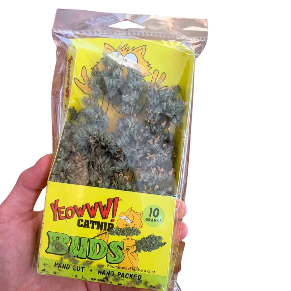 Catnip Especial Yeowww! Catnip BUDS