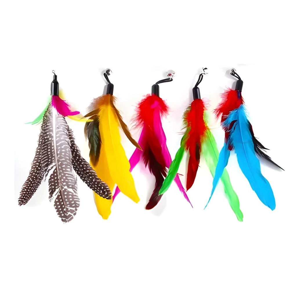 Brinquedo Isca Penas Coloridas - Sem Varinha