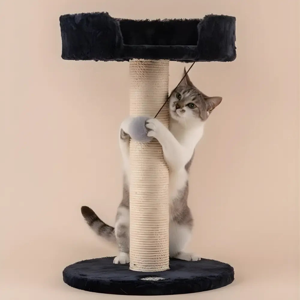 Arranhador com Caminha e Brinquedo Jumper - Preto