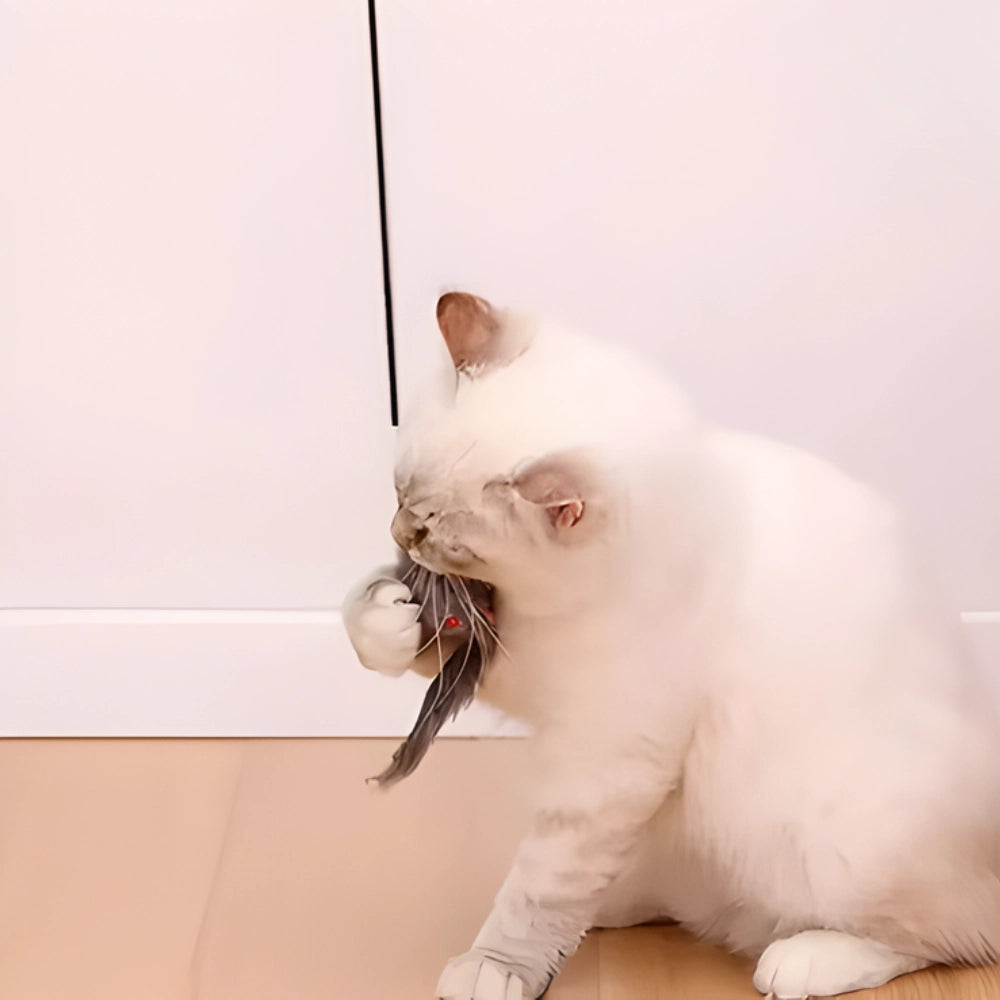 Brinquedo Ratinho Pêndulo Estimulante