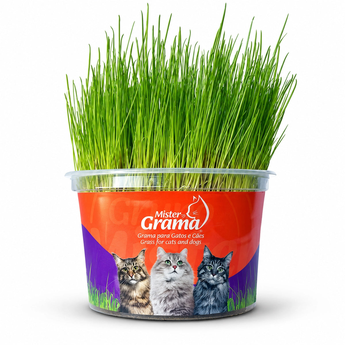 Graminha para Gatos Mister 130g