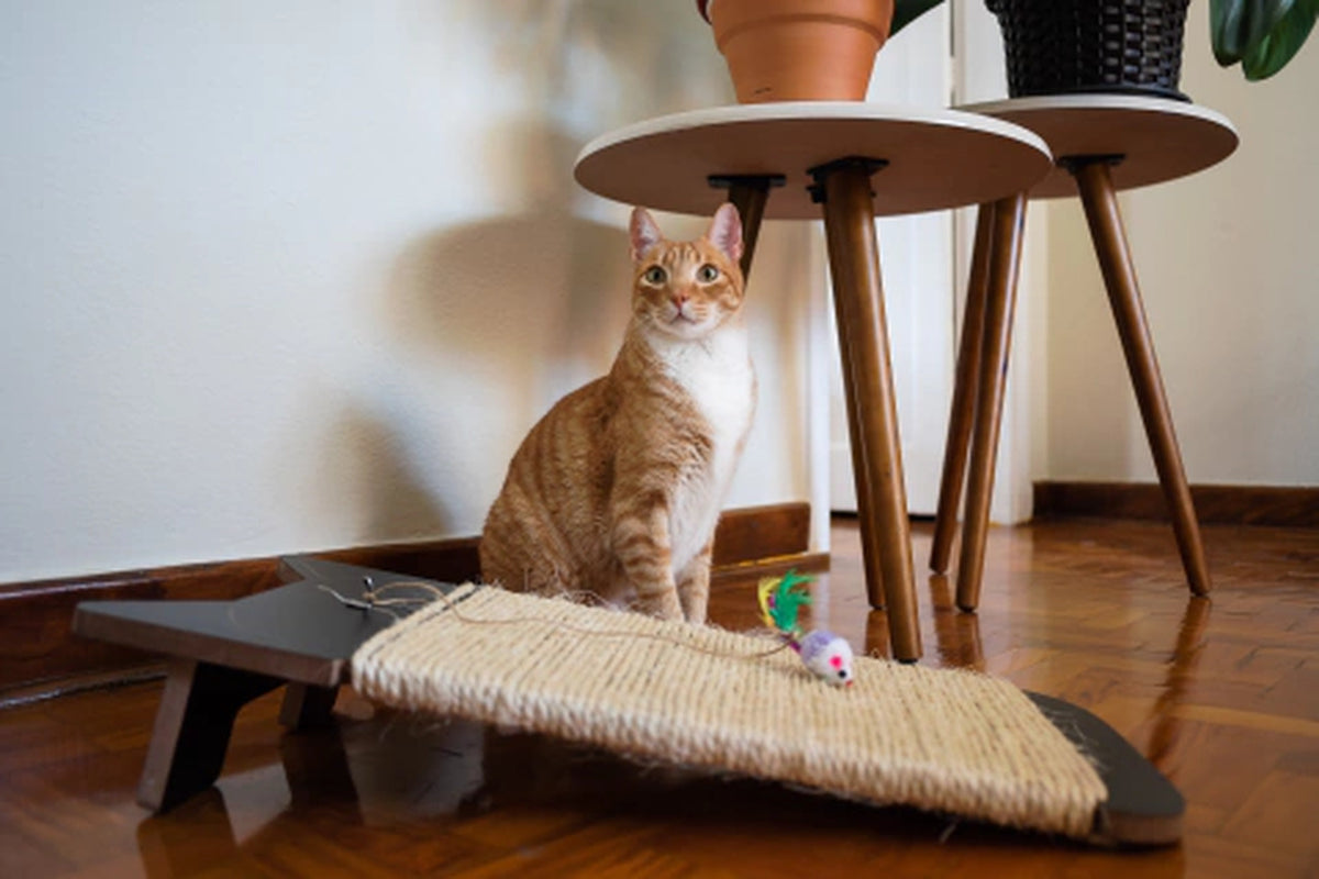 Arranhador de Chão Carpete Bastet para Gatos