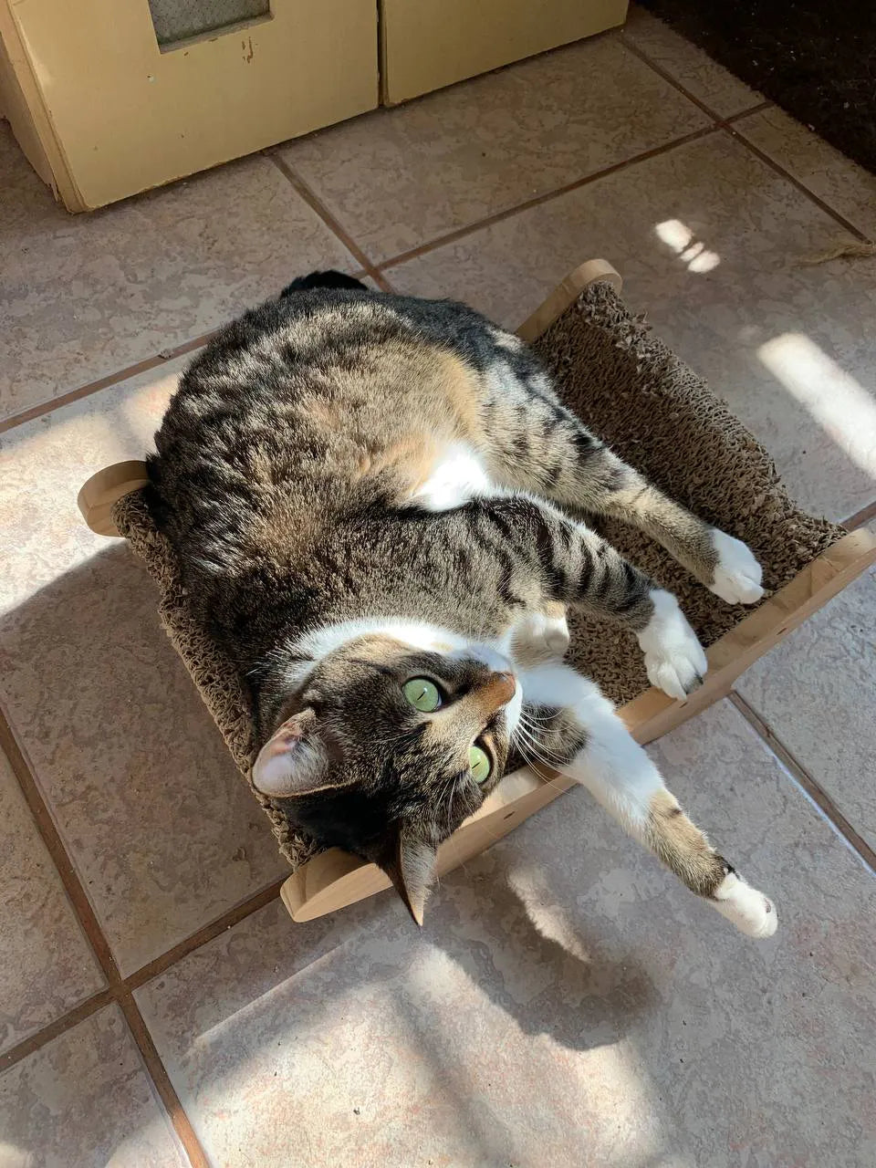 Arranhador Cama em Madeira Alta Durabilidade