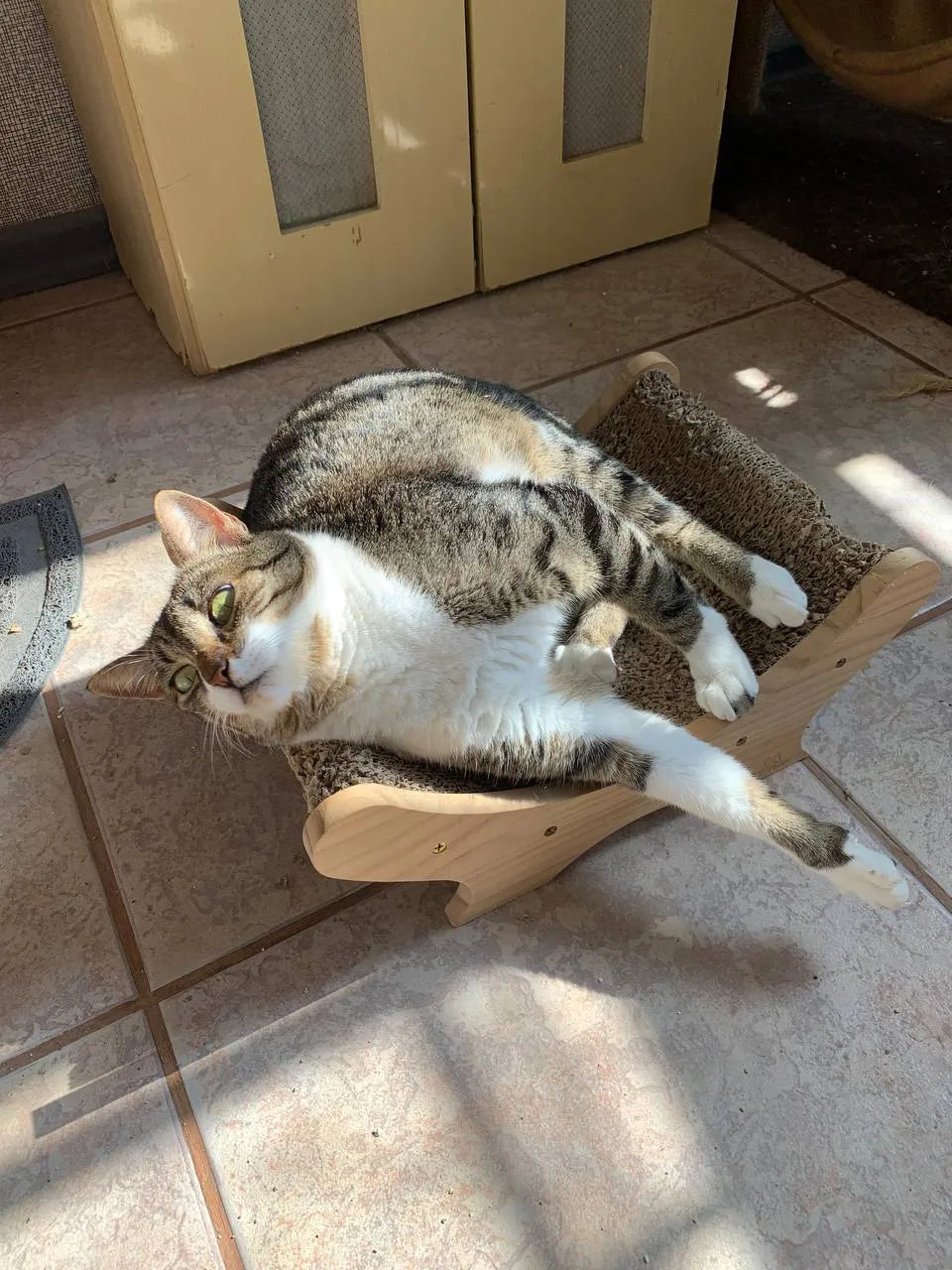 Arranhador Cama em Madeira Alta Durabilidade