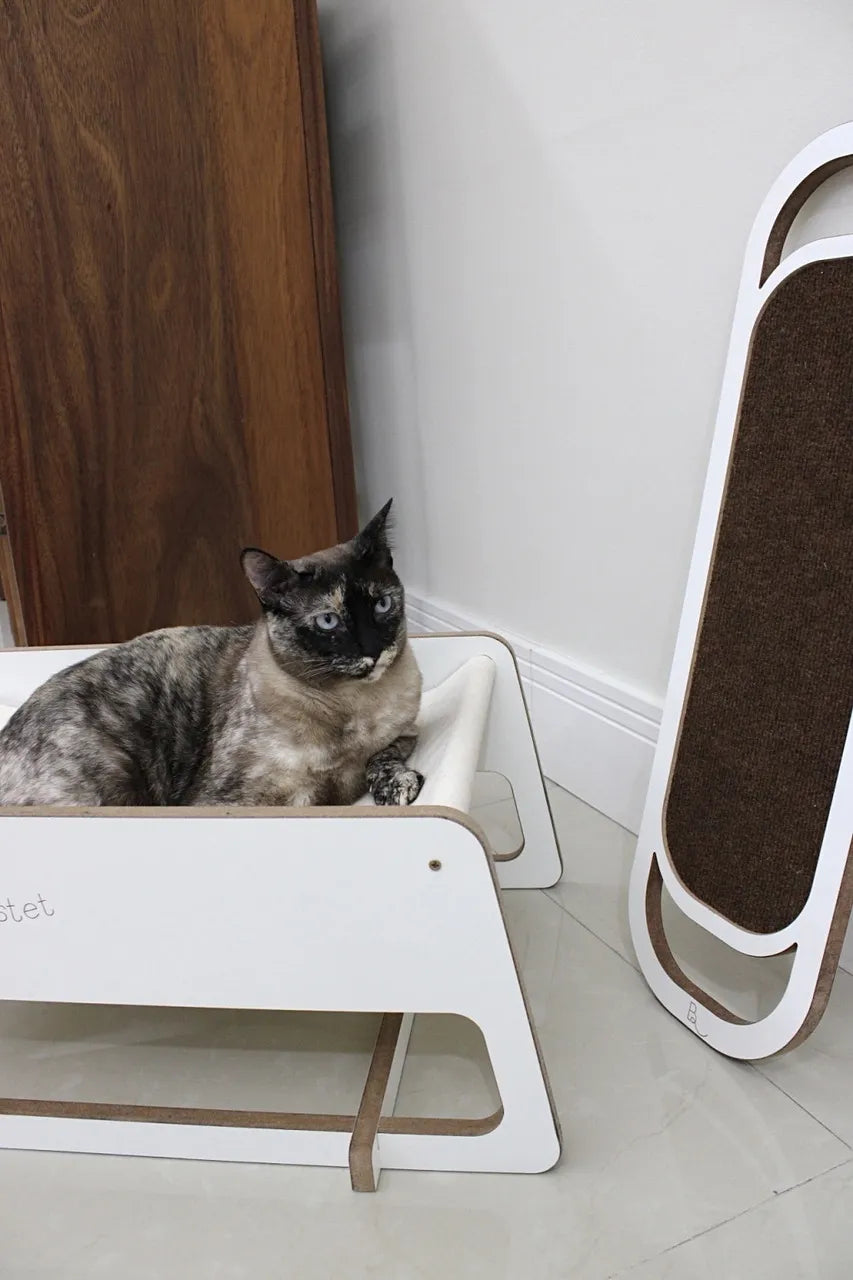 Arranhador Clean Carpete Para Parede ou Chão