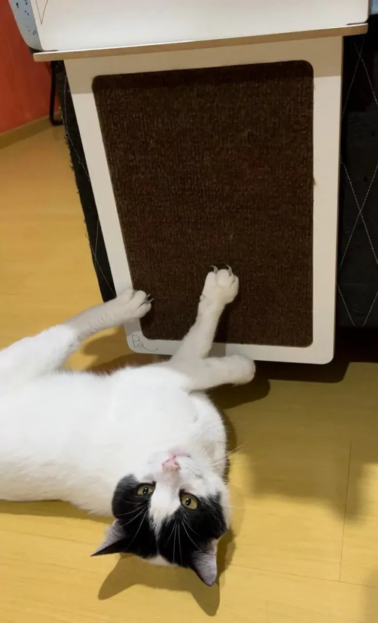 Arranhador Protetor de Cama/Cantos - Duplo