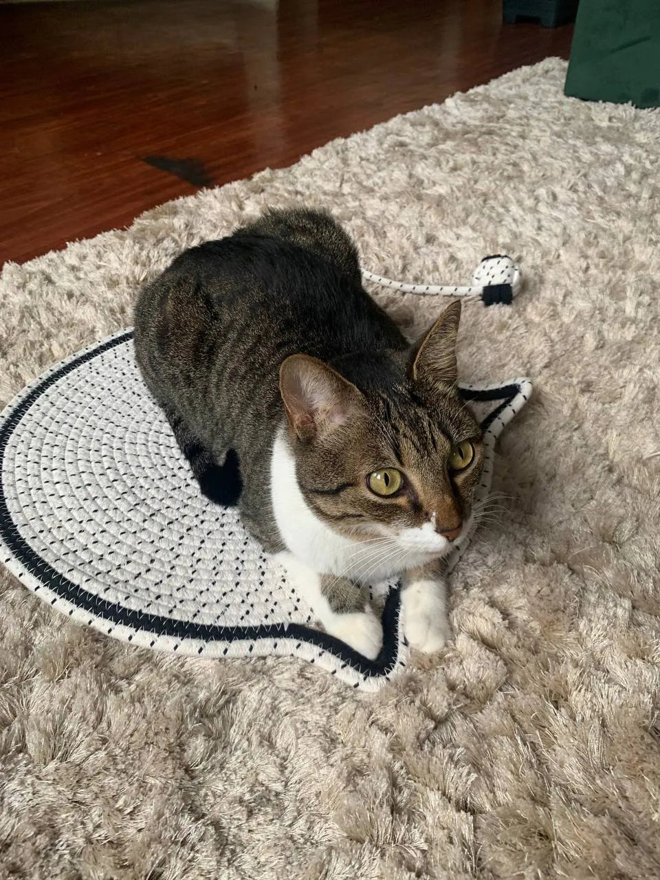 Arranhador Tapete com Bolinha Mundo Catnip