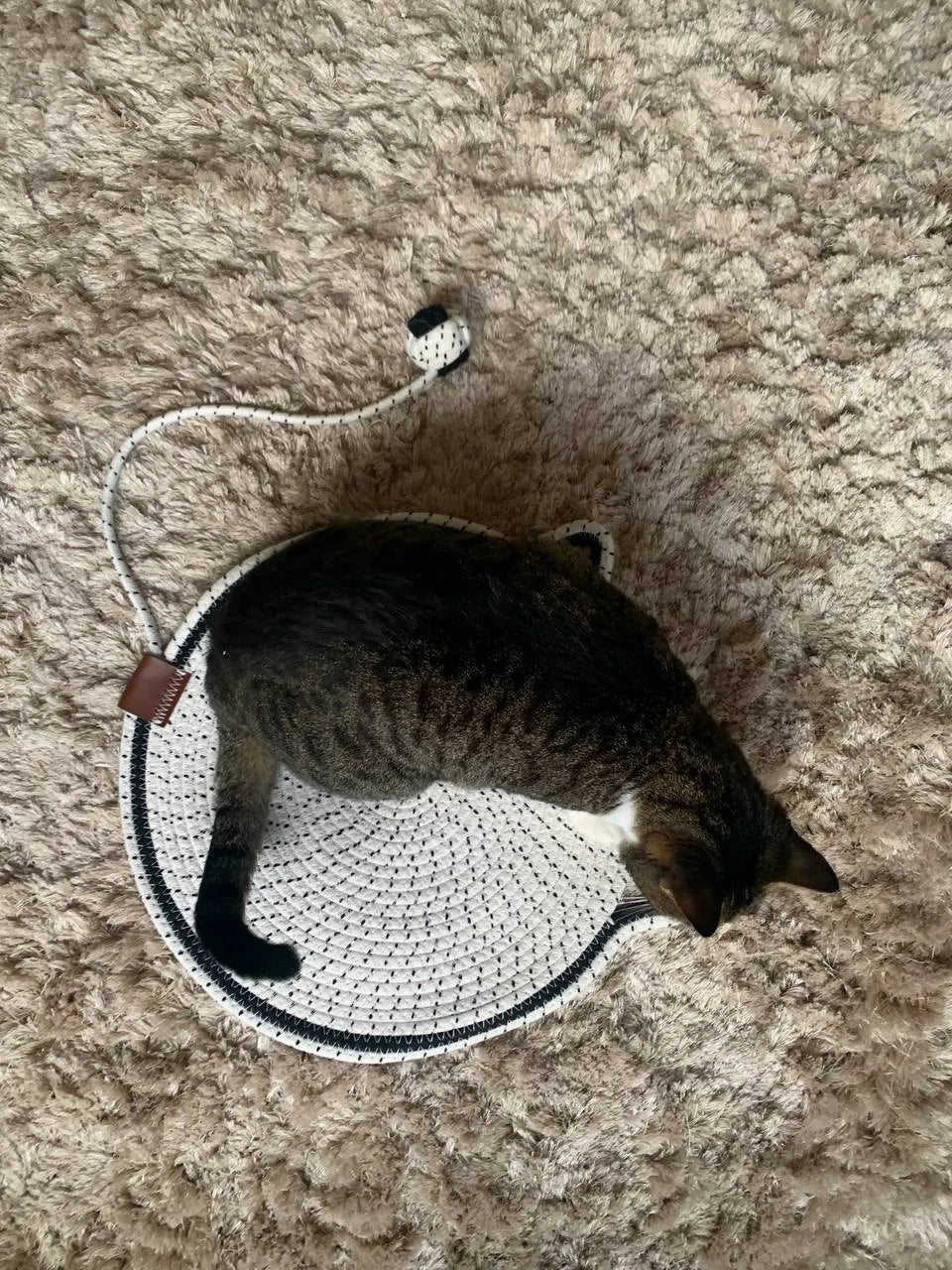 Arranhador Tapete com Bolinha Mundo Catnip