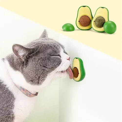 Abacate de Catnip - Avocat