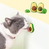 Abacate de Catnip - Avocat