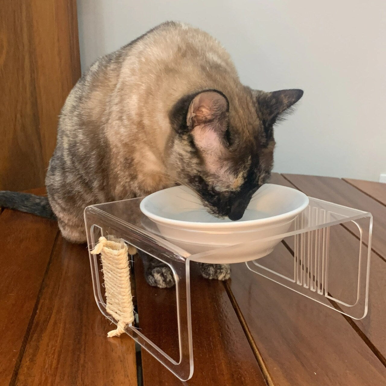 Bebedouro/Comedouro Fundo Cerâmica Horus com Base em Acrílico