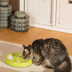Brinquedo Discover Puzzle Porta Petisco - Enriquecimento Alimentar