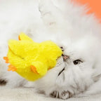 Brinquedo Eletrônico Pato Bate-Asas Interativo para Gatos