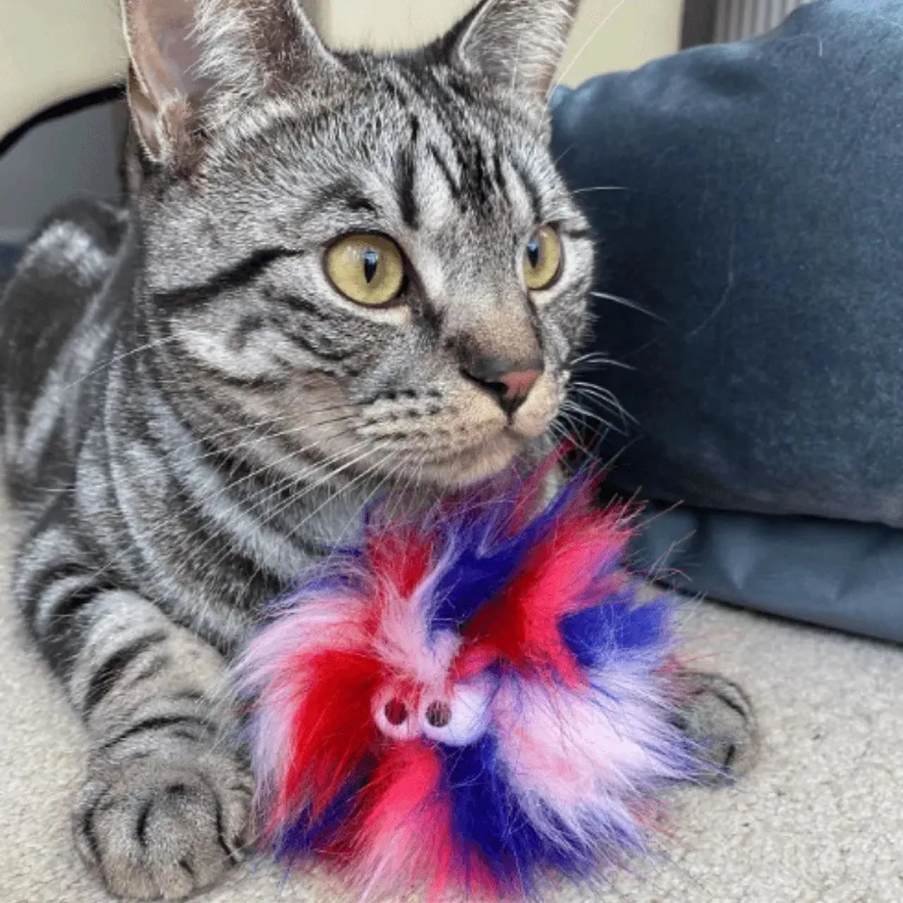 Brinquedo Furry Ball com Catnip para Gatos