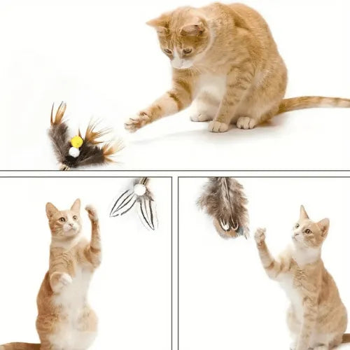 Brinquedo Isca Realista Inseto Rajado