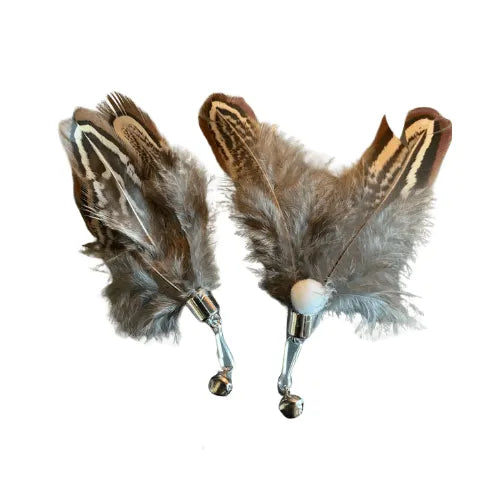 Brinquedo Isca Realista Inseto Rajado