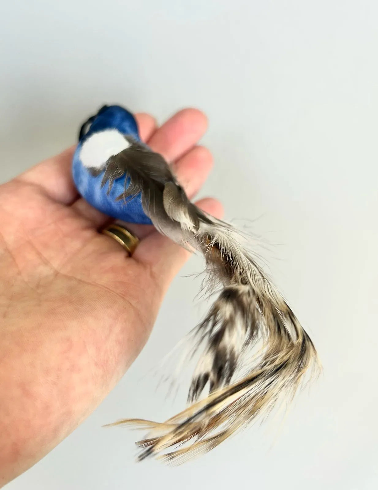 Brinquedo Isca Realista Pássaro Azul para Varinhas