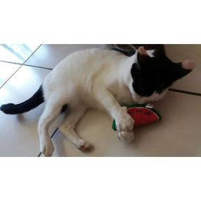 Brinquedo Melancia Green Rush com Catnip Importado