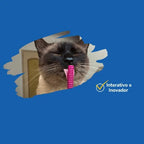 Brinquedo Para Morder Cat Chiclete Pet Games